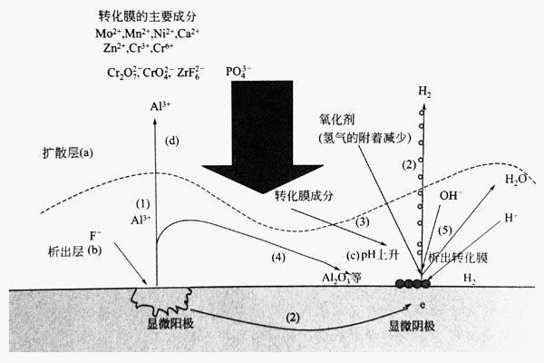 鋁型材化學轉(zhuǎn)化膜析出模型圖 鋁型材化學轉(zhuǎn)化膜析出模型圖